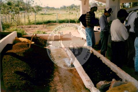 Original Document numérique not accessible