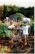 Tribunal Internacional dos Crimes do Latifúndio e da Política Governamental de Violação dos Direitos Humanos (Curitiba-PR, 02 mai. 2001) [fotografia] / Fotógrafo(a) : Douglas Mansur. -- Ref.: BR-SPMST_MST-SN-CIN_AMP_000135-001009-ACS.
