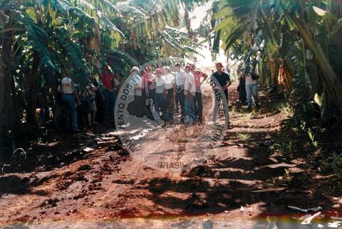 Original Digitaal object not accessible