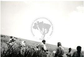 Grupo Projeto Liberdade-Despejo Fazenda Pandeny (São Paulo (Estado), [sem data]) [fotografia] / Fotógrafo(a) : Douglas Mansur. -- Ref.: BR-SPMST_MST-SN-CIN_AMP_001791-012944-VPP.