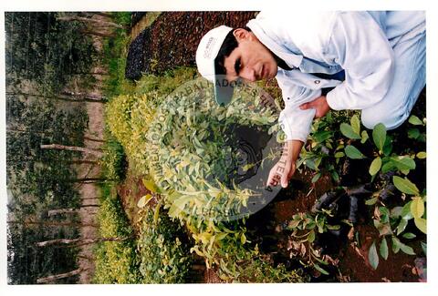 Original Objeto digital not accessible