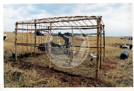 Acampamento "Guarantã" (São Paulo (Estado), jul. 1998) [fotografia] / Fotógrafo(a) : Douglas Mansur. -- Ref.: BR-SPMST_MST-SN-CIN_AMP_000045-000223-ACP.