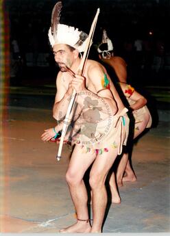 Original Digitaal object not accessible