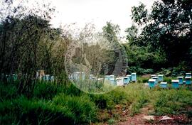 Inauguração da Rádio Comunitária (Itapeva-SP, 28 nov. 2008) [fotografia] / Fotógrafo(a) : Cláudio Foschieira. -- Ref.: BR-SPMST_MST-SN-CIN_AMP_000695-004055-ARV.