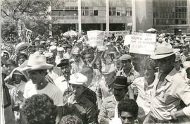 Acampados da Fazenda Annoni ocupam a sede do INCRA (Porto Alegre-RS, 29 nov. 1985) [fotografia] / Fotógrafo(a) : Karine Emerich ; Guto ; Protássio Nenê. -- Ref.: BR-SPMST_MST-SN-CIN_AMP_001842-014061-OCU.