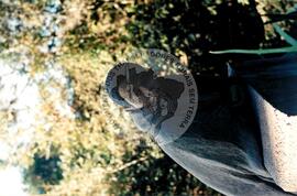 Exposição de Leo Santanda "Os Bandos" (Ouro Preto-MG, 10 jul. 1996) [fotografia] / Fotógrafo(a) : Léo Santana. -- Ref.: BR-SPMST_MST-SN-CIN_AMP_001024-007938-ELF.