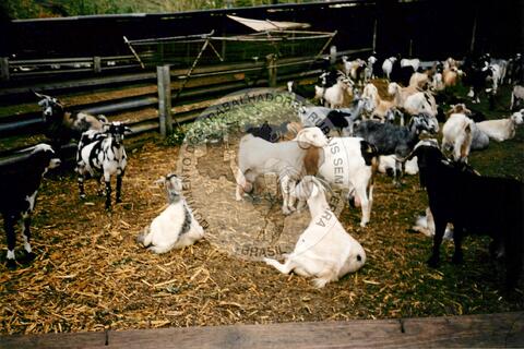 Original Document numérique not accessible