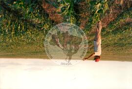 Produção de acampament0 (Rio Grande do Sul, [sem data]) [fotografia] / Fotógrafo(a) : Assis Hofman ; J. Ribber ; Arquivo MST. -- Ref.: BR-SPMST_MST-SN-CIN_AMP_001983-015195-PDU.