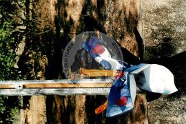 Encontro Nacional de Secretarias, 1o (Cajamar-SP, jun. 2000) [fotografia] / Fotógrafo(a) : Arquivo MST. -- Ref.: BR-SPMST_MST-SN-CIN_AMP_000925-007185-ENC.