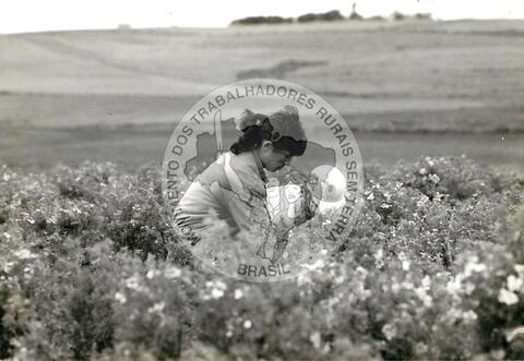 Original Document numérique not accessible