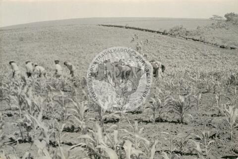 Original Digitaal object not accessible