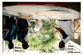 Semana Nacional de Cultura Brasileira e Reforma Agrária (Rio de Janeiro-RJ, 18 mar. 2002) [fotografia] / Fotógrafo(a) : Luciney Martins. -- Ref.: BR-SPMST_MST-SN-CIN_AMP_001820-013601-NDT.