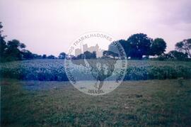 Viagem de José Campos (Índia, 2002) [fotografia] / Fotógrafo(a) : Arquivo MST. -- Ref.: BR-SPMST_MST-SN-CIN_AMP_001141-009570-RIT.