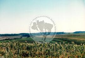 Assentamento "Fazenda Novo Holandês" do MST (Rio Grande do Sul, [sem data]) [fotografia] / Fotógrafo(a) : Bernado ; Nelsinho ; Volnei. -- Ref.: BR-SPMST_MST-SN-CIN_AMP_000182-001296-ASS.