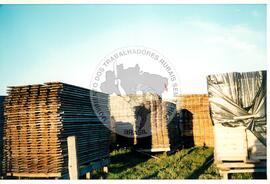 Oficina de Rádio no assentamento "Conquista da Fronteira" do MST (Hulha Negra-RS, jun. 2001) [fotografia] / Fotógrafo(a) : Leticia Barqueta. -- Ref.: BR-SPMST_MST-SN-CIN_AMP_000691-003887-ARV.