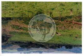 Assentamento "30 de outubro" do MST (Santa Catarina, [sem data]) [fotografia] / Fotógrafo(a) : Douglas Mansur. -- Ref.: BR-SPMST_MST-SN-CIN_AMP_000199-001460-ASS.