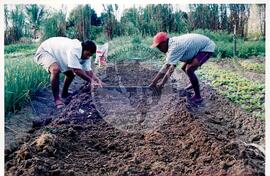 Curso Prolongado região sudeste - CIDAP (São Matheus-ES, ago. 2000) [fotografia] / Fotógrafo(a) : Leticia Barqueta. -- Ref.: BR-SPMST_MST-SN-CIN_AMP_000822-005458-CUR.