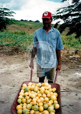 Assentamento "Luiza e Crispim" do MST (Pernambuco, [sem data]) [fotografia] / Fotógrafo(a) : Arquivo MST. -- Ref.: BR-SPMST_MST-SN-CIN_AMP_000338-001620-ASS.