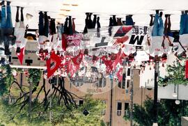 Mobilização (São Paulo-SP, 17 abr. 1988) [fotografia] / Fotógrafo(a) : Douglas Mansur. -- Ref.: BR-SPMST_MST-SN-CIN_AMP_000372-001810-AMT.