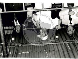 Luís Inácio Lula da Silva (Brasil, [sem data]) [fotografia] / Fotógrafo(a) : Arquivo MST ; Carlos Carvalho ; Clóvis Ferreira ; Douglas Mansur ; Olivio Lamas ; Volnei Malfoy ; Regina Vilela ; Folha Imagem ; . -- Ref.: BR-SPMST_MST-SN-CIN_AMP_001623-012382-PER.