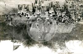 Ocupação Taquaralzinho (Taquaralzinho-MS, 01 ago. 1991) [fotografia] / Fotógrafo(a) : Damarci. -- Ref.: BR-SPMST_MST-SN-CIN_AMP_001888-014197-OCU.