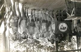 Ocupações diversas (Pará, [sem data]) [fotografia] / Fotógrafo(a) : Arquivo MST ; Rosnaldo. -- Ref.: BR-SPMST_MST-SN-CIN_AMP_001867-014154-OCU.