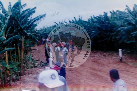 Original Digitaal object not accessible