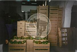 Viagem de Luiz Roberto para Espanha (Ilhas Canárias (Espanha), 31 jan. 2001) [fotografia] / Fotógrafo(a) : Arquivo MST. -- Ref.: BR-SPMST_MST-SN-CIN_AMP_001119-009225-RIT.