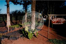 Assentamento "Ribeirão Bonito"do MST (Rio Grande do Sul, [sem data]) [fotografia] / Fotógrafo(a) : Arquivo MST. -- Ref.: BR-SPMST_MST-SN-CIN_AMP_000185-001308-ASS.