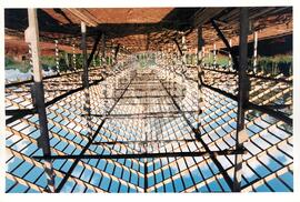 Produção no assentamento (Miscêlenia-SP, [sem data]) [fotografia] / Fotógrafo(a) : Douglas Mansur. -- Ref.: BR-SPMST_MST-SN-CIN_AMP_001972-015129-PDU.