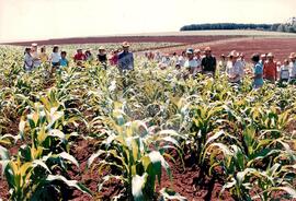 Assentamento do MST [sem identificação] (Rio Grande do Sul, [sem data]) [fotografia] / Fotógrafo(a) : José Antonio Tedesco. -- Ref.: BR-SPMST_MST-SN-CIN_AMP_000183-001297-ASS.