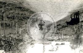 Assentamento do MST [sem identificação] (Chapecó-SC, ago. 1995) [fotografia] / Fotógrafo(a) : Débora Lerrer. -- Ref.: BR-SPMST_MST-SN-CIN_AMP_000194-001391-ASS.