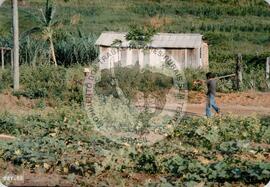 Assentamento do MST [sem identificação] (Nova Venécia-ES, [sem data]) [fotografia] / Fotógrafo(a) : Arquivo MST. -- Ref.: BR-SPMST_MST-SN-CIN_AMP_000330-001592-ASS.