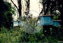 Assentamento "25 de Maio" do MST (Ponte Serrada-SC, fev. 1988) [fotografia] / Fotógrafo(a) : Arquivo MST. -- Ref.: BR-SPMST_MST-SN-CIN_AMP_000191-001360-ASS.