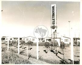 Manifestações e Mobilizações (Santa Catarina, [sem data]) [fotografia] / Fotógrafo(a) : [autoria n/d]. -- Ref.: BR-SPMST_MST-SN-CIN_AMP_000493-002860-AMT.