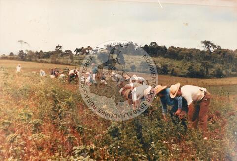 Original Digitaal object not accessible