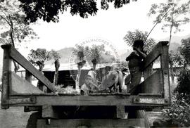 Cooperativa "Quita Sueno" (Honduras, [sem data]) [fotografia] / Fotógrafo(a) : Mara. -- Ref.: BR-SPMST_MST-SN-CIN_AMP_001107-009161-RIT.