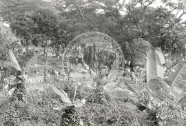 Província de Bengo (Angola, [sem data]) [fotografia] / Fotógrafo(a) : Arquivo MST. -- Ref.: BR-SPMST_MST-SN-CIN_AMP_001098-008996-RIT.