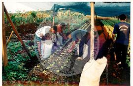 Tribunal Internacional dos Crimes do Latifúndio e da Política Governamental de Violação dos Direitos Humanos (Curitiba-PR, 02 mai. 2001) [fotografia] / Fotógrafo(a) : Douglas Mansur. -- Ref.: BR-SPMST_MST-SN-CIN_AMP_000135-001012-ACS.