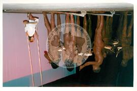 Mística de Abertura do Tribunal (Curitiba-PR, 02 mai. 2001) [fotografia] / Fotógrafo(a) : Douglas Mansur. -- Ref.: BR-SPMST_MST-SN-CIN_AMP_001917-014357-SJM.