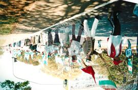 Mobilização em Brasília durante a Jornada Nacional "Acampamento Nacional Eldorado dos Carajás" (Brasília-DF, 03 set. 2001) [fotografia] / Fotógrafo(a) : Gildo Aguiar. -- Ref.: BR-SPMST_MST-SN-CIN_AMP_001918-014407-SJM.