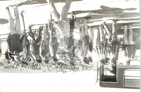 Original Document numérique not accessible