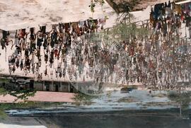 Ocupação nas imediações da Chesf (Canindé do São Francisco-SE, [sem data]) [fotografia] / Fotógrafo(a) : Diogines Di. -- Ref.: BR-SPMST_MST-SN-CIN_AMP_001878-014185-OCU.