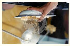 Chegada da Marcha Nacional à Brasília (Brasília-DF, fev. 1997) [fotografia] / Fotógrafo(a) : Douglas Mansur ; Paulo P. Lima. -- Ref.: BR-SPMST_MST-SN-CIN_AMP_001397-011035-MAC.