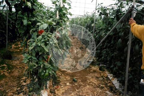 Original Document numérique not accessible