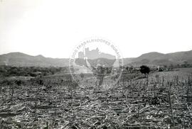 Cooperativa "La Reforma" [Fedecoopades] (El Salvador, abr. 1988) [fotografia] / Fotógrafo(a) : Arquivo MST. -- Ref.: BR-SPMST_MST-SN-CIN_AMP_001068-008637-RIT.