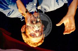 Luís Inácio Lula da Silva (Brasil, [sem data]) [fotografia] / Fotógrafo(a) : Arquivo MST ; Carlos Carvalho ; Clóvis Ferreira ; Douglas Mansur ; Olivio Lamas ; Volnei Malfoy ; Regina Vilela ; Folha Imagem ; . -- Ref.: BR-SPMST_MST-SN-CIN_AMP_001623-012379-PER.