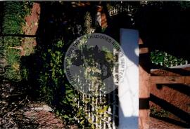 Assentamento "Ribeirão Bonito"do MST (Rio Grande do Sul, [sem data]) [fotografia] / Fotógrafo(a) : Arquivo MST. -- Ref.: BR-SPMST_MST-SN-CIN_AMP_000186-001318-ASS.