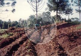 Centro de Formação (Caçador-SC, nov. 1992) [fotografia] / Fotógrafo(a) : José Trevisol. -- Ref.: BR-SPMST_MST-SN-CIN_AMP_000886-006200-EDU.