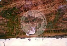 Produção no assentamento (Espírito Santo, fev. 1988) [fotografia] / Fotógrafo(a) : [sem autoria]. -- Ref.: BR-SPMST_MST-SN-CIN_AMP_001971-015117-PDU.